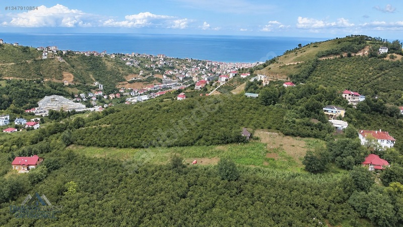 Trabzon Akçaabat Osmanbaba'Da Satılık Arazi