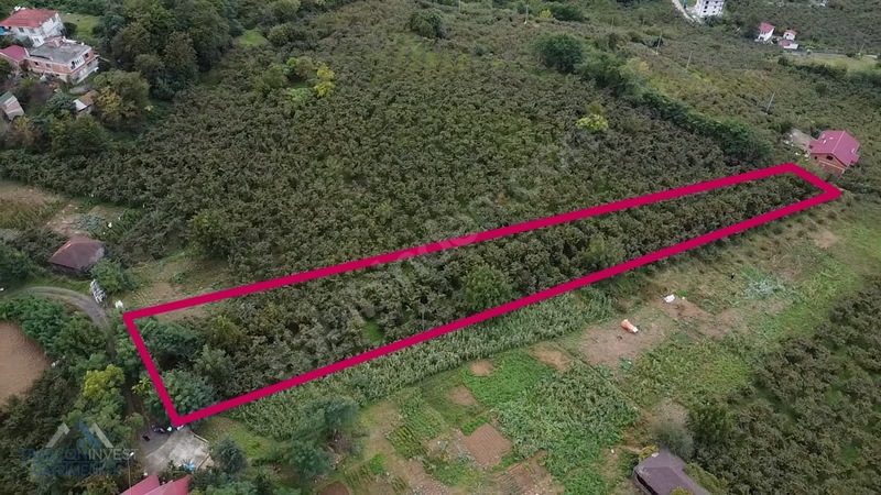 Trabzon Akçaabat Osmanbaba'da Satılık Arazi — fotoğraf 2