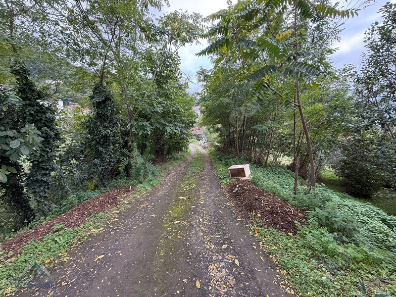 Trabzon Akçaabat Osmanbaba'da Satılık Arazi — fotoğraf 5