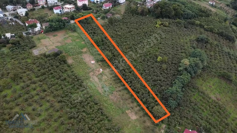 Trabzon Akçaabat Osmanbaba'da Satılık Arazi — fotoğraf 9