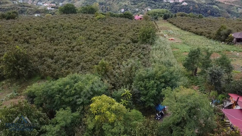 Trabzon Akçaabat Osmanbaba'da Satılık Arazi — fotoğraf 14