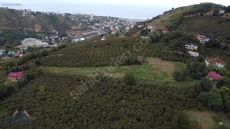 Trabzon Akçaabat Osmanbaba'da Satılık Arazi — fotoğraf 16
