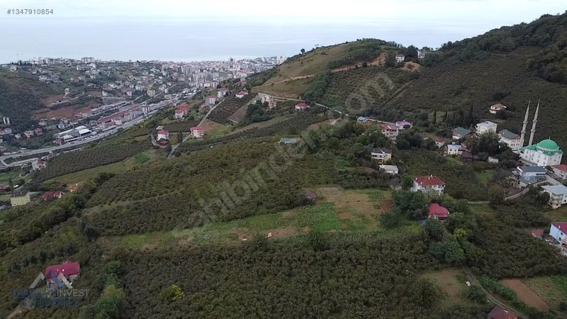 Trabzon Akçaabat Osmanbaba'da Satılık Arazi — fotoğraf 22