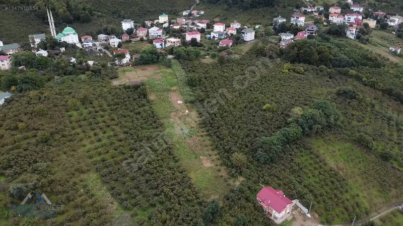 Trabzon Akçaabat Osmanbaba'da Satılık Arazi — fotoğraf 23