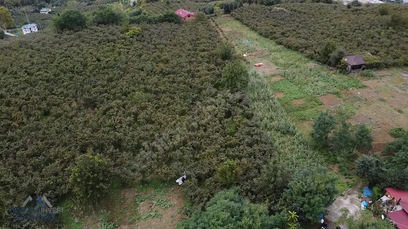Trabzon Akçaabat Osmanbaba'da Satılık Arazi — fotoğraf 32