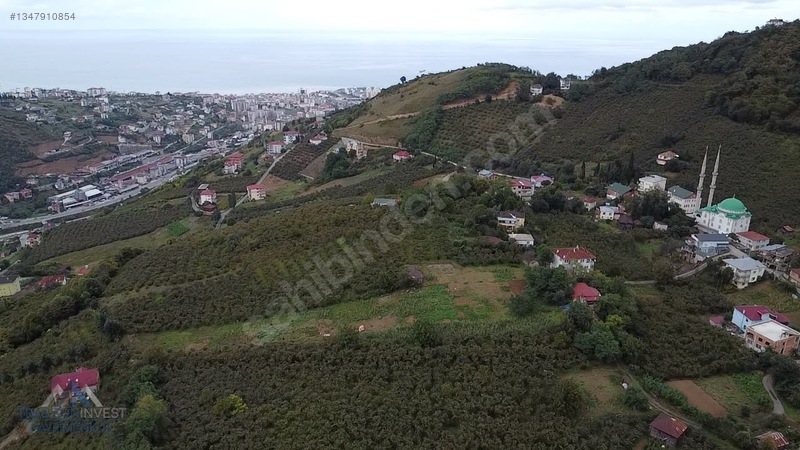 Trabzon Akçaabat Osmanbaba'da Satılık Arazi — fotoğraf 34