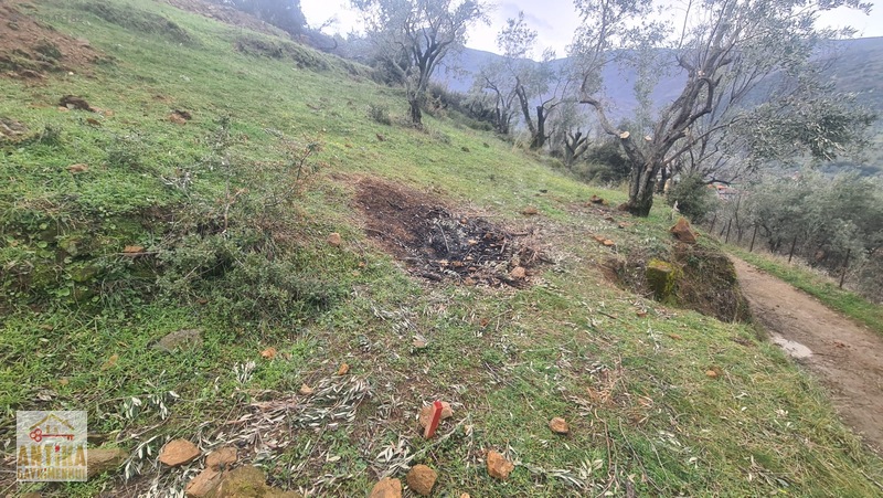 Antika Gayrimenkul'den Bademlide İmarlı Satılık Arsa — fotoğraf 17