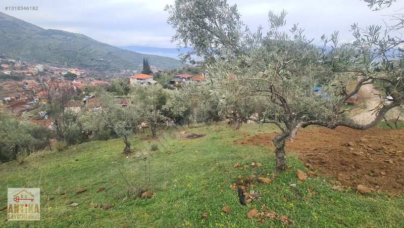Antika Gayrimenkul'den Bademlide İmarlı Satılık Arsa — fotoğraf 18