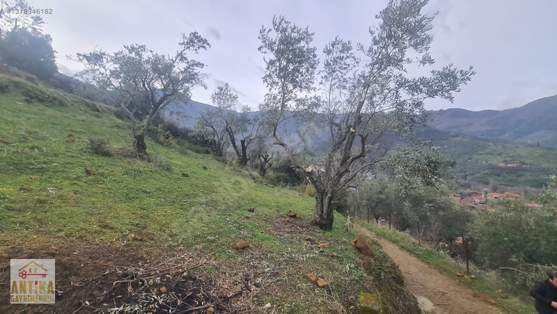Antika Gayrimenkul'den Bademlide İmarlı Satılık Arsa — fotoğraf 19