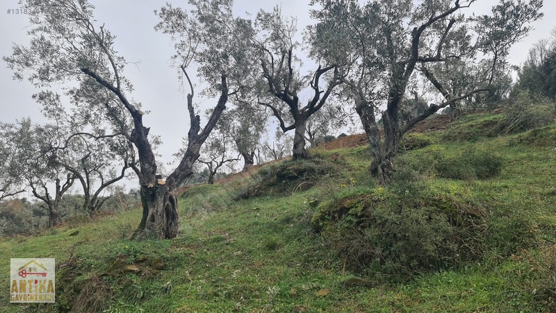 Antika Gayrimenkul'den Bademlide İmarlı Satılık Arsa — fotoğraf 25