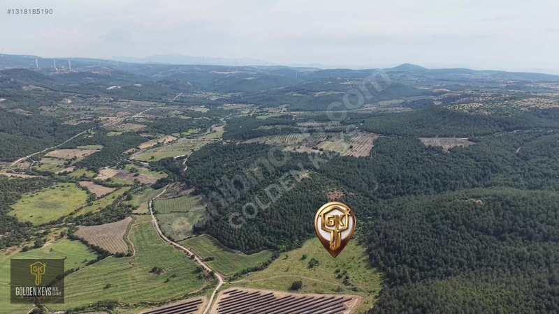 Bergama Koyuneli Mah. 24.966 M.kare Yola Cephe Satılık Tarla — fotoğraf 6