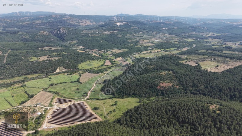 Bergama Koyuneli Mah. 24.966 M.kare Yola Cephe Satılık Tarla — fotoğraf 7