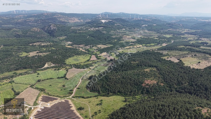 Bergama Koyuneli Mah. 24.966 M.kare Yola Cephe Satılık Tarla — fotoğraf 9