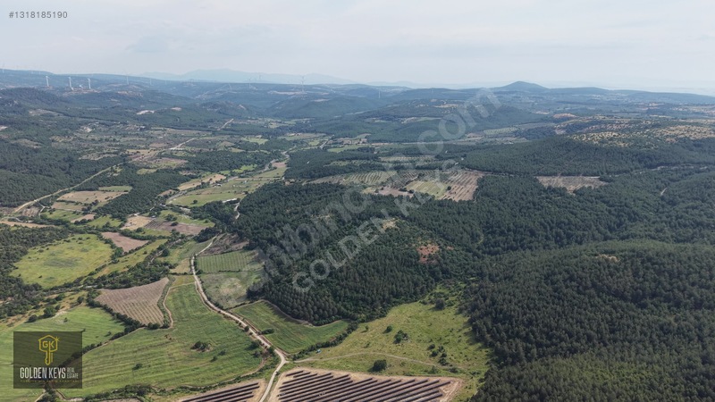 Bergama Koyuneli Mah. 24.966 M.kare Yola Cephe Satılık Tarla — fotoğraf 12