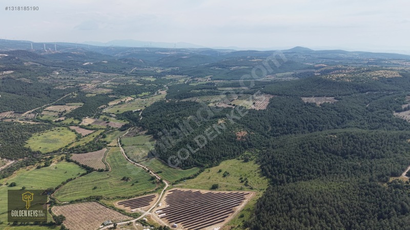 Bergama Koyuneli Mah. 24.966 M.kare Yola Cephe Satılık Tarla — fotoğraf 15