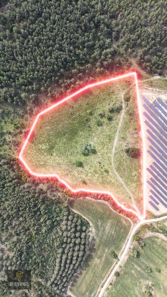 Bergama Koyuneli Mah. 24.966 M.kare Yola Cephe Satılık Tarla — fotoğraf 16