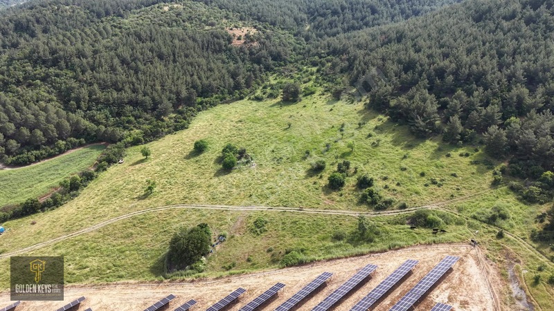 Bergama Koyuneli Mah. 24.966 M.kare Yola Cephe Satılık Tarla — fotoğraf 20