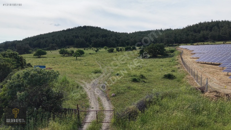 Bergama Koyuneli Mah. 24.966 M.kare Yola Cephe Satılık Tarla — fotoğraf 28