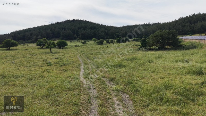 Bergama Koyuneli Mah. 24.966 M.kare Yola Cephe Satılık Tarla — fotoğraf 29