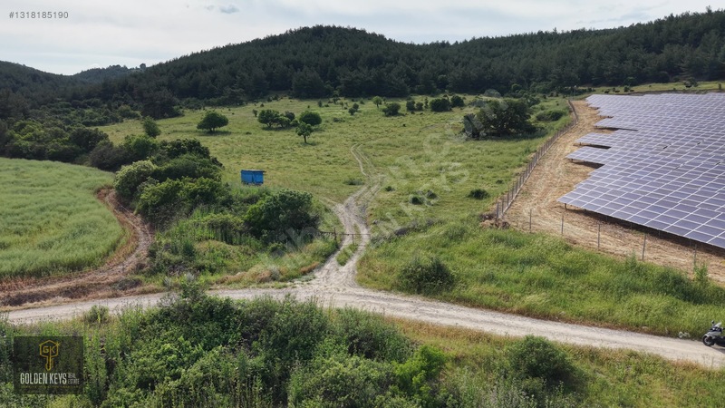 Bergama Koyuneli Mah. 24.966 M.kare Yola Cephe Satılık Tarla — fotoğraf 30