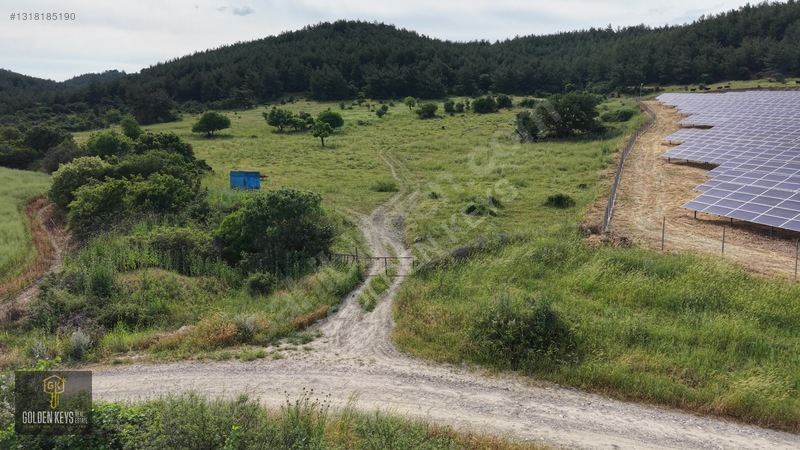 Bergama Koyuneli Mah. 24.966 M.kare Yola Cephe Satılık Tarla — fotoğraf 33