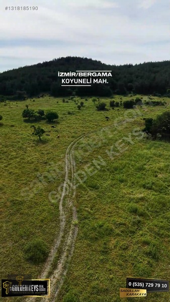 Bergama Koyuneli Mah. 24.966 M.kare Yola Cephe Satılık Tarla — fotoğraf 36