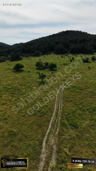 Bergama Koyuneli Mah. 24.966 M.kare Yola Cephe Satılık Tarla — fotoğraf 37