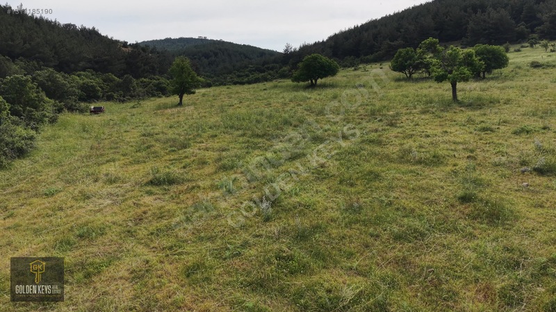 Bergama Koyuneli Mah. 24.966 M.kare Yola Cephe Satılık Tarla — fotoğraf 39