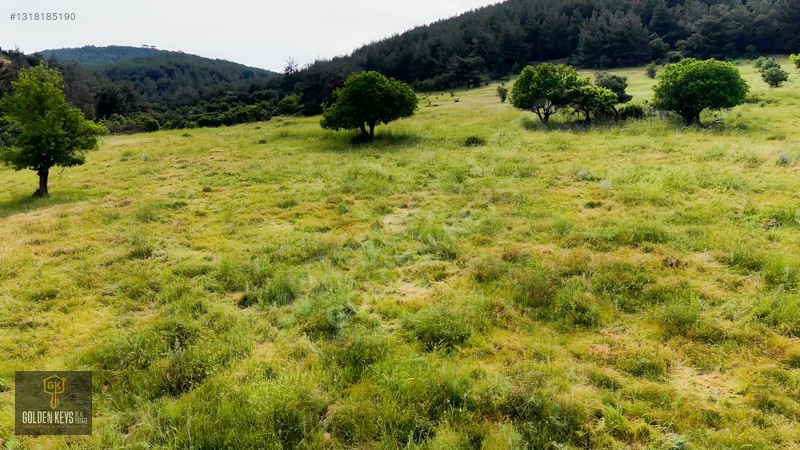 Bergama Koyuneli Mah. 24.966 M.kare Yola Cephe Satılık Tarla — fotoğraf 43