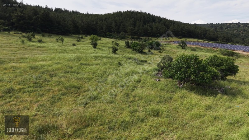 Bergama Koyuneli Mah. 24.966 M.kare Yola Cephe Satılık Tarla — fotoğraf 46