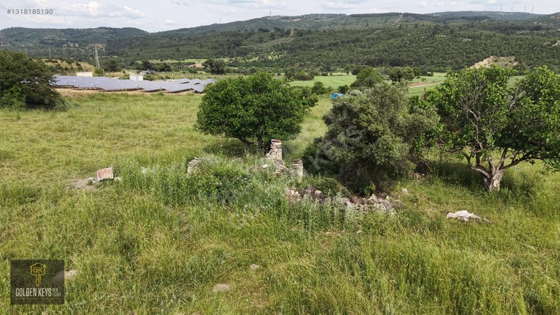 Bergama Koyuneli Mah. 24.966 M.kare Yola Cephe Satılık Tarla — fotoğraf 53