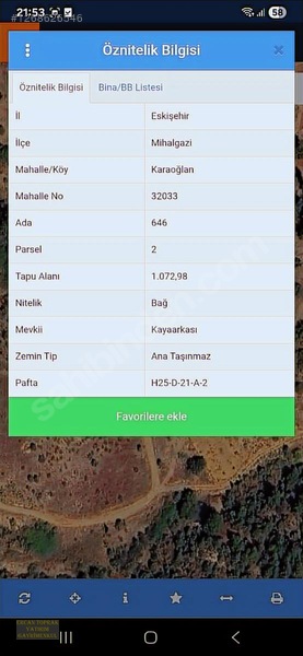 Mihalgazi Karaoğlanda Satılık Bağ — fotoğraf 4