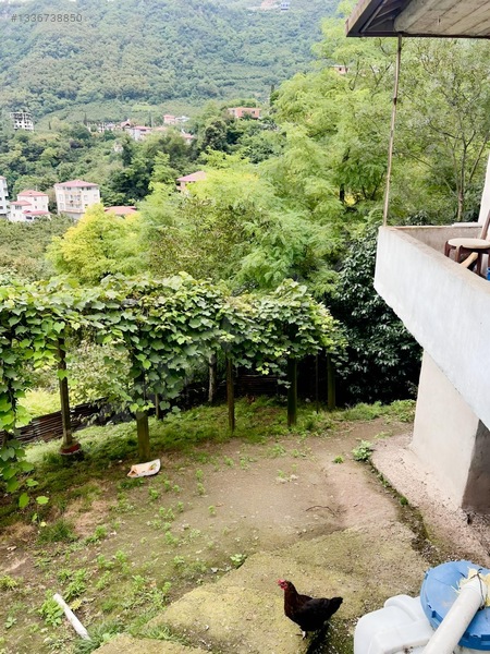 Trabzon Ortahısar İncesu Mahallesı'nde Satılık Tarla — fotoğraf 15