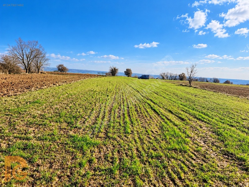 Point Premium'Dan Osmancıkta Yola Cepheli 1.346 M2 Satılık Tarla