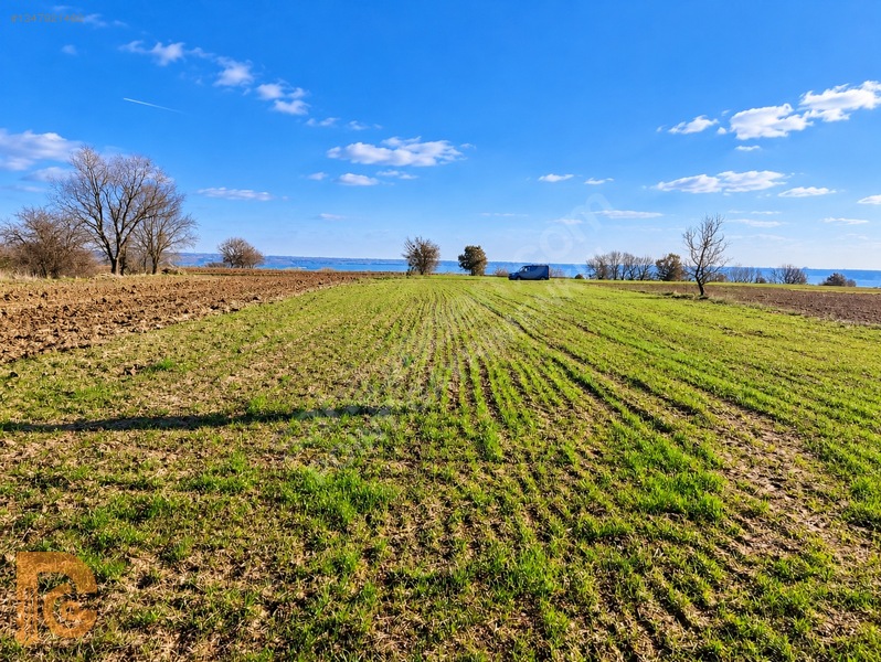 Point Premium'dan Osmancıkta Yola Cepheli 1.346 M2 Satılık Tarla — fotoğraf 3