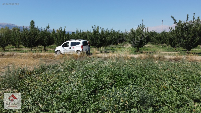 Ali Tosun'dan Sarılar'da Kadastral Yol Cepheli 37.291m² Arazi — fotoğraf 2