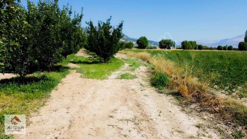 Ali Tosun'dan Sarılar'da Kadastral Yol Cepheli 37.291m² Arazi — fotoğraf 3