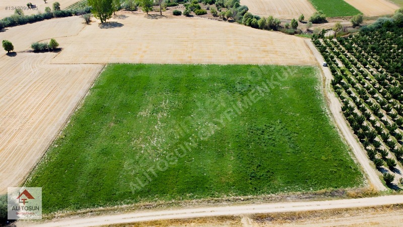 Ali Tosun'dan Sarılar'da Kadastral Yol Cepheli 37.291m² Arazi — fotoğraf 4