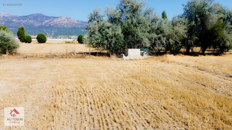 Ali Tosun'dan Sarılar'da Kadastral Yol Cepheli 37.291m² Arazi — fotoğraf 5