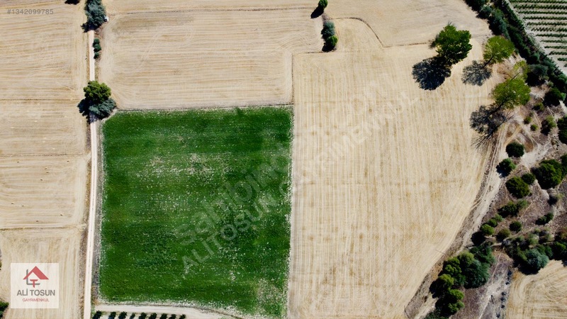 Ali Tosun'dan Sarılar'da Kadastral Yol Cepheli 37.291m² Arazi — fotoğraf 10
