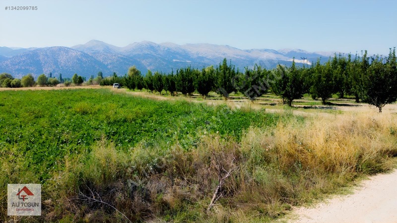 Ali Tosun'dan Sarılar'da Kadastral Yol Cepheli 37.291m² Arazi — fotoğraf 11