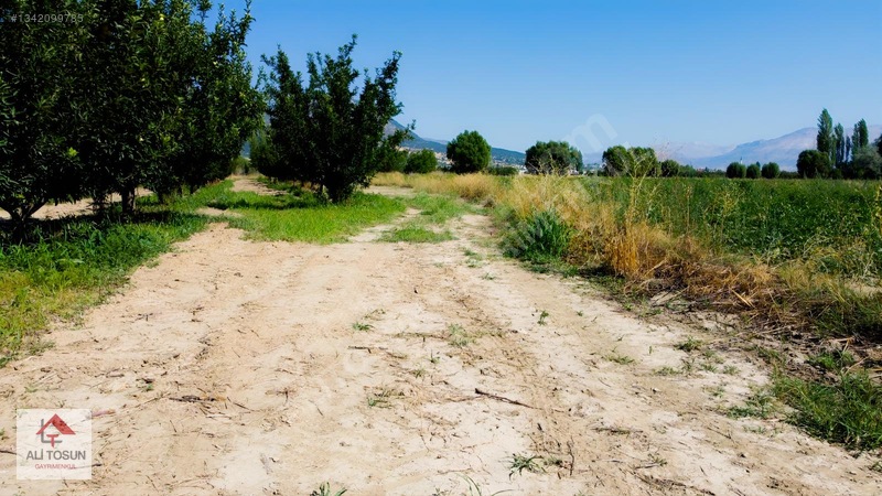 Ali Tosun'dan Sarılar'da Kadastral Yol Cepheli 37.291m² Arazi — fotoğraf 13
