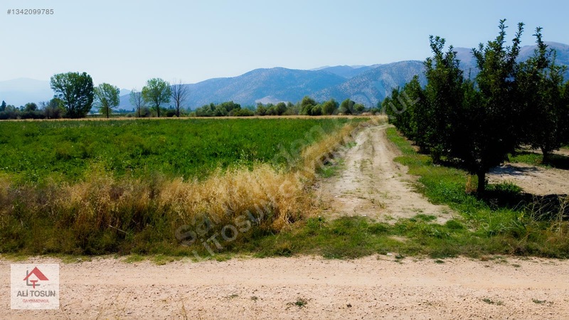 Ali Tosun'dan Sarılar'da Kadastral Yol Cepheli 37.291m² Arazi — fotoğraf 19