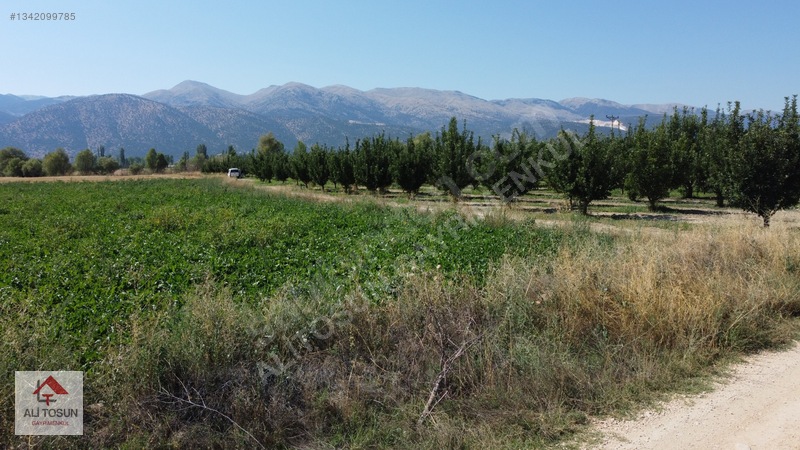 Ali Tosun'dan Sarılar'da Kadastral Yol Cepheli 37.291m² Arazi — fotoğraf 23