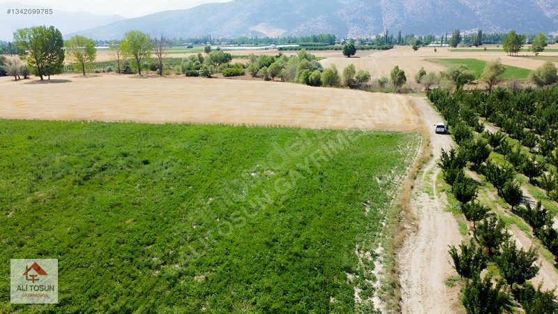 Ali Tosun'dan Sarılar'da Kadastral Yol Cepheli 37.291m² Arazi — fotoğraf 24