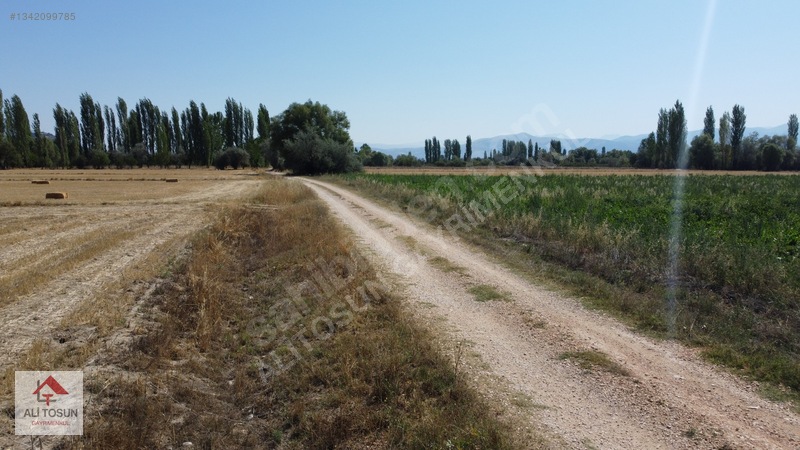 Ali Tosun'dan Sarılar'da Kadastral Yol Cepheli 37.291m² Arazi — fotoğraf 25