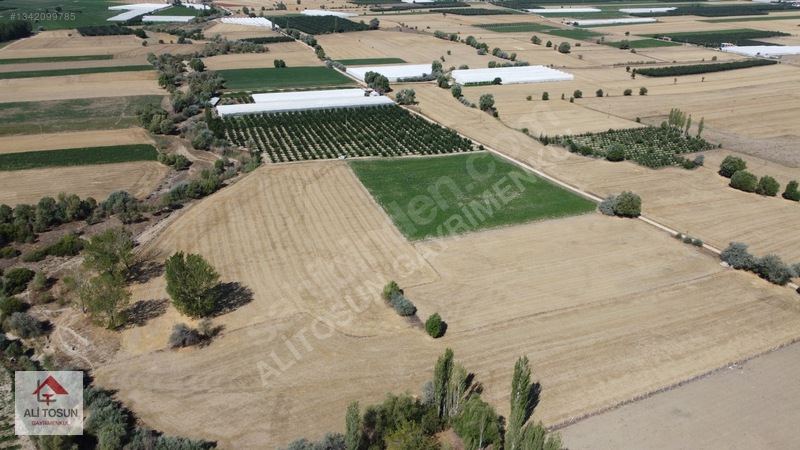 Ali Tosun'dan Sarılar'da Kadastral Yol Cepheli 37.291m² Arazi — fotoğraf 26
