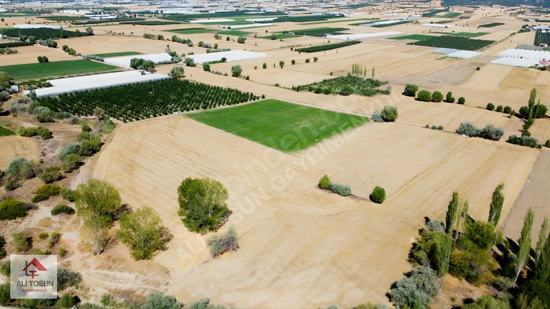 Ali Tosun'dan Sarılar'da Kadastral Yol Cepheli 37.291m² Arazi — fotoğraf 28