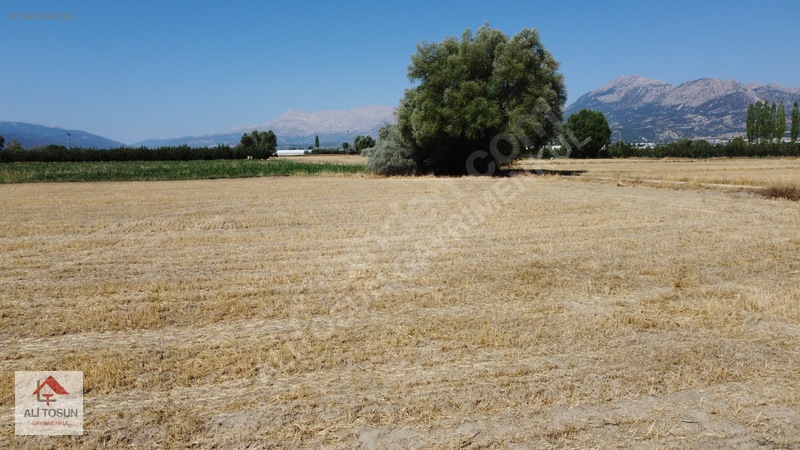 Ali Tosun'dan Sarılar'da Kadastral Yol Cepheli 37.291m² Arazi — fotoğraf 29