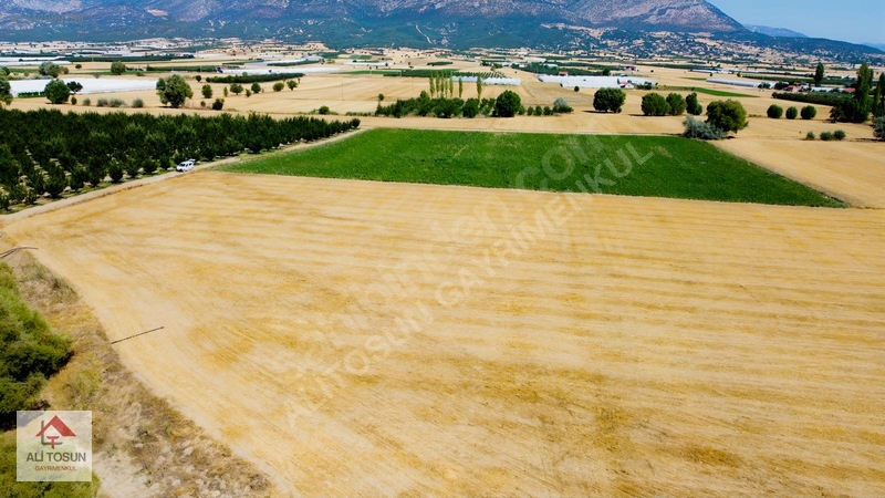 Ali Tosun'dan Sarılar'da Kadastral Yol Cepheli 37.291m² Arazi — fotoğraf 30